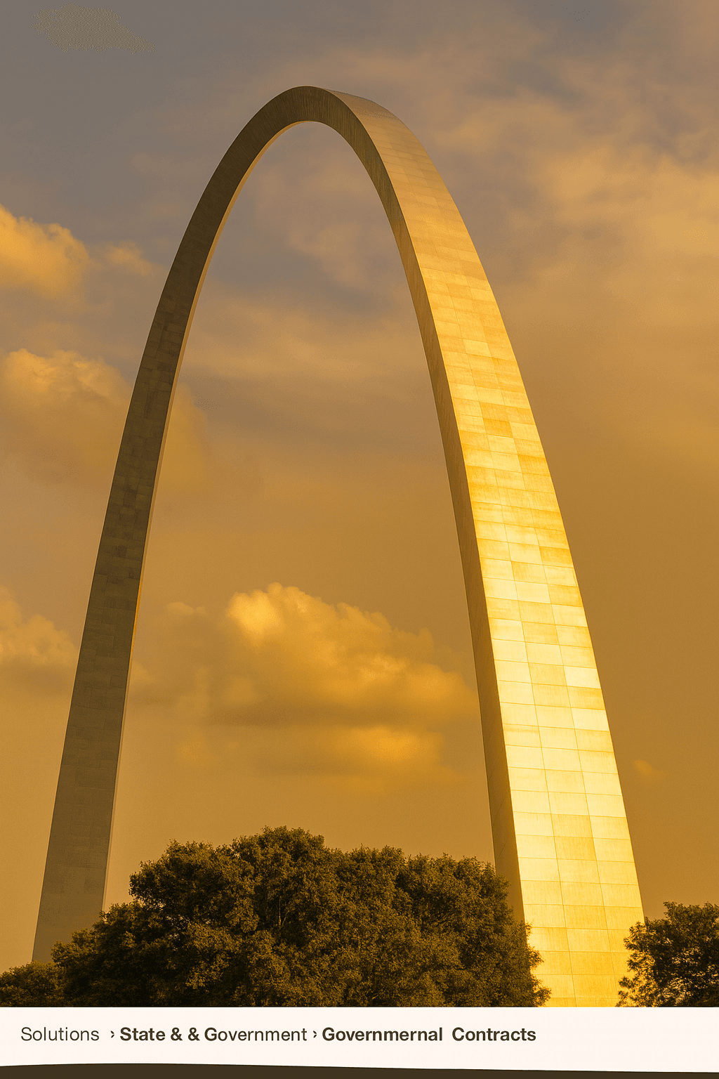 Image representing Missouri State & Government Contracts.